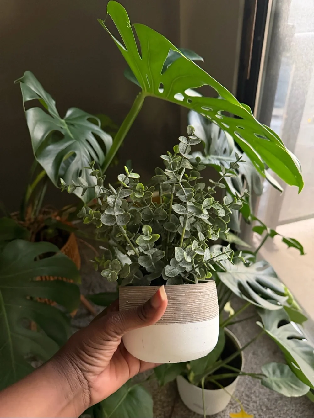 Marshalls Green Eucalyptus Faux Plant in Two-Tone Ceramic Pot